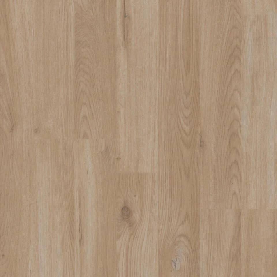Brume Oak BEIGE uygulama görünümü