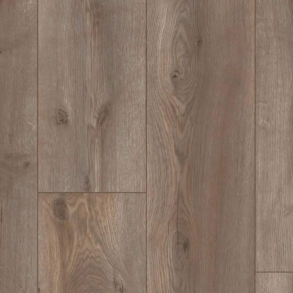 Summit Oak TITAN uygulama görünümü