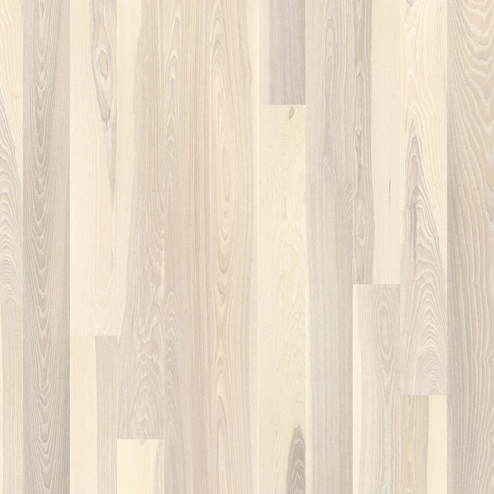 ASH SEASHELL (1-strip)