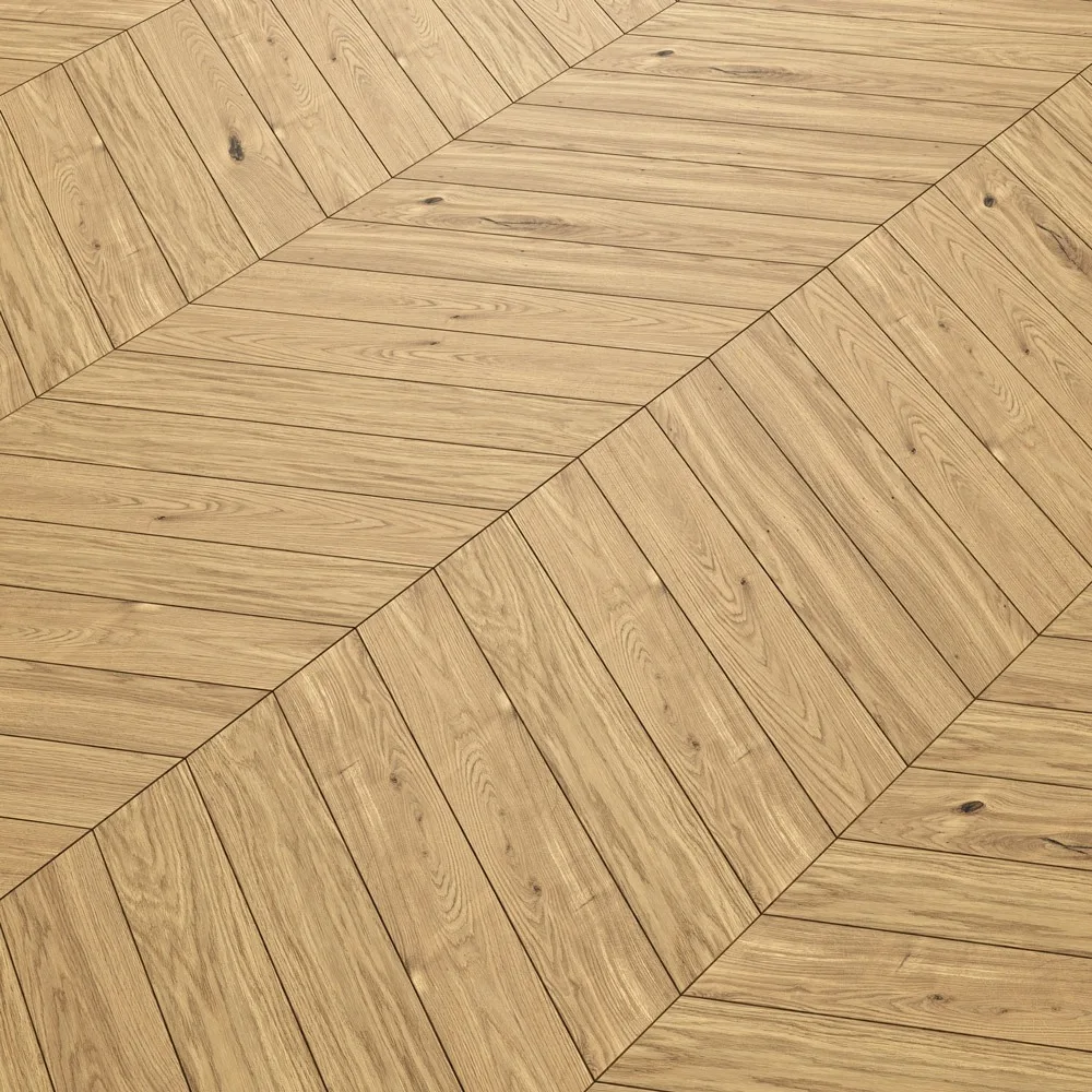 Chevron Zeleia -