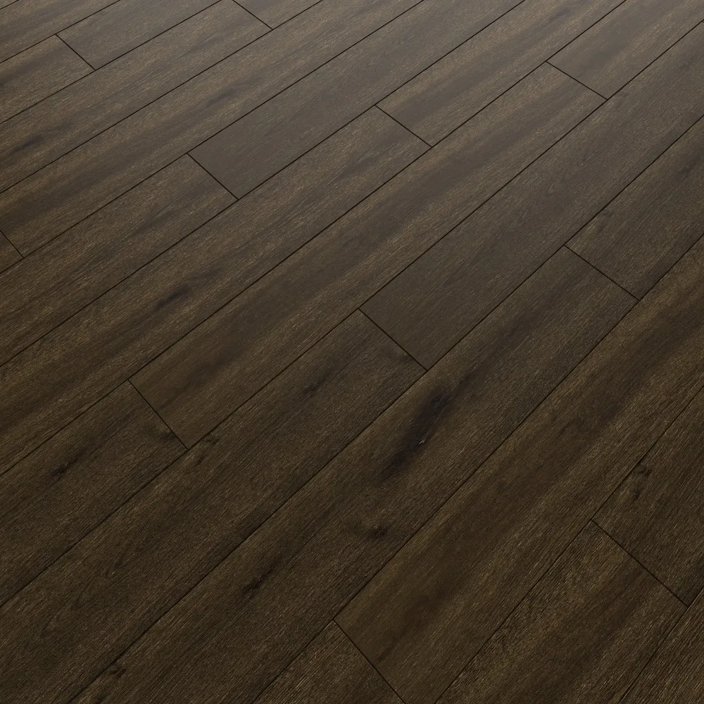 Ceramus -