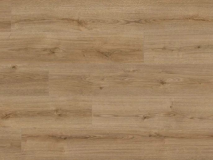 Oak Evoke Trend