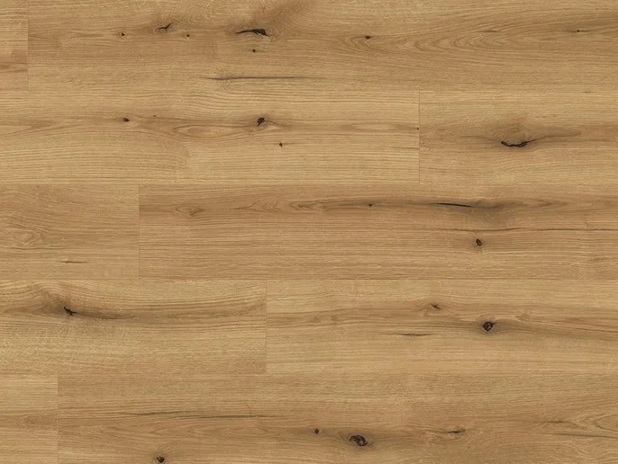 Oak Evoke Coast