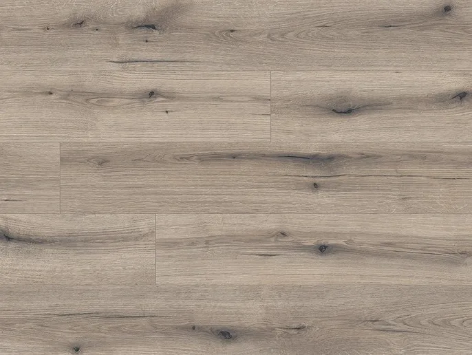 Oak Evoke Solano