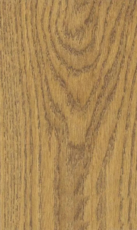 PLANK MERİDYEN