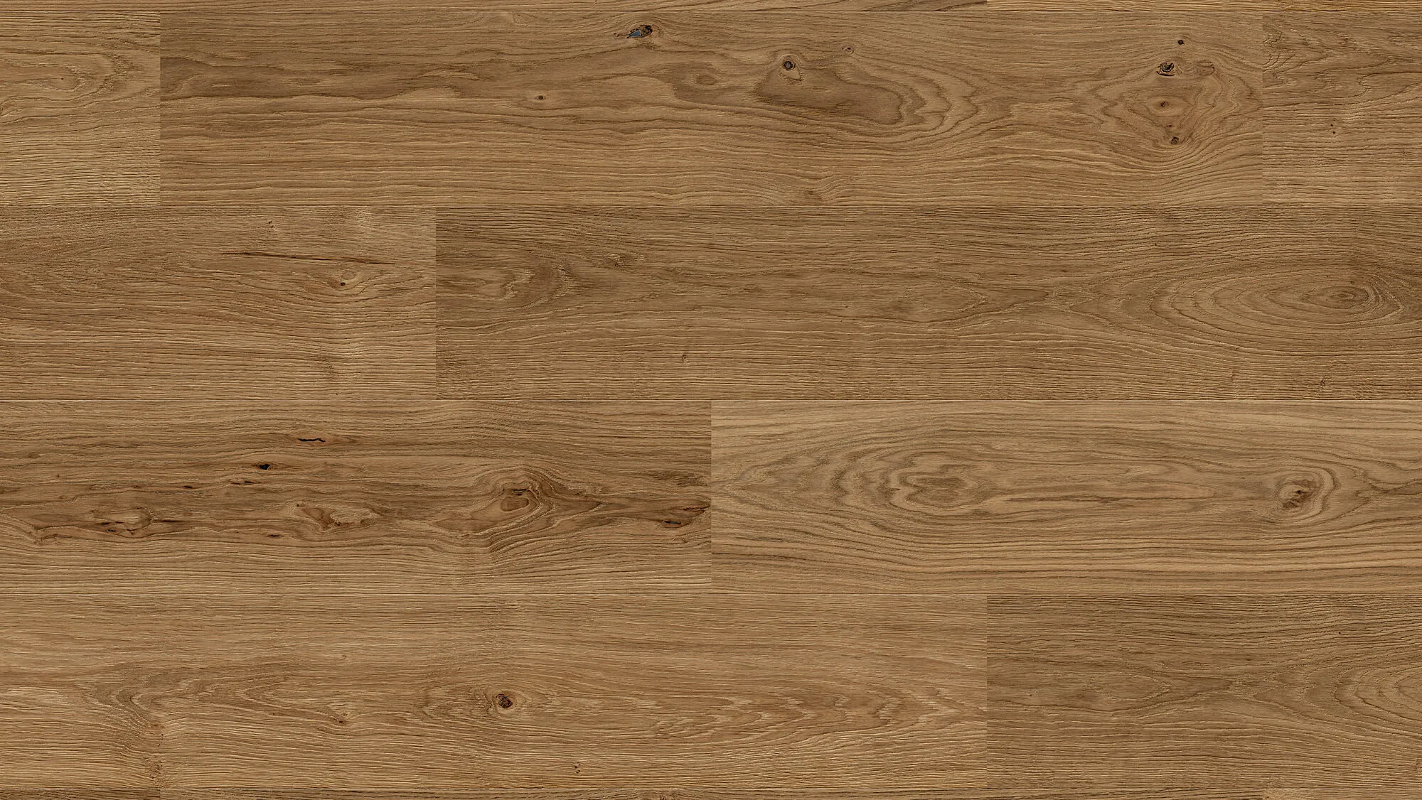 Oak Alhambra