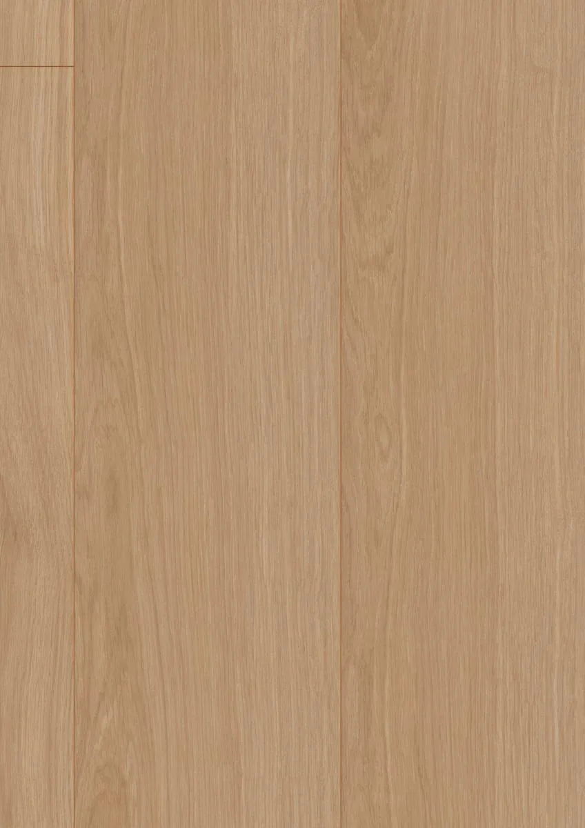 Waveless Oak Nature