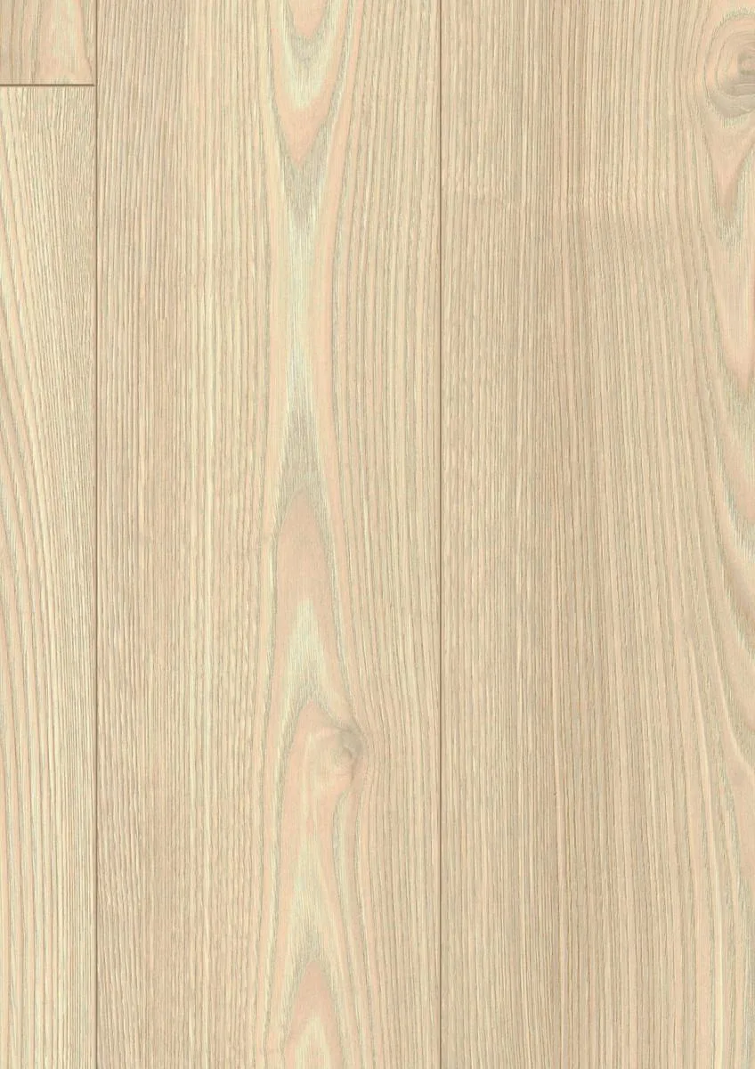 Salisbury Chestnut