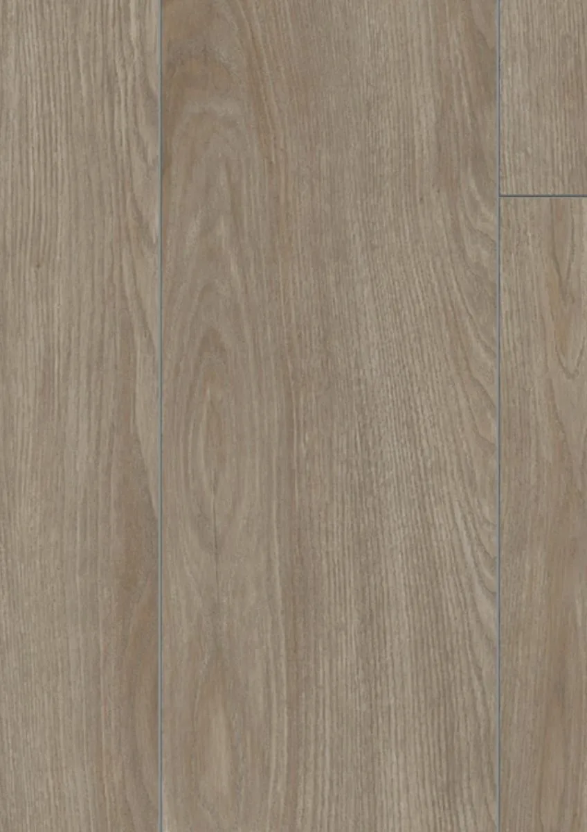 Sevilla Oak