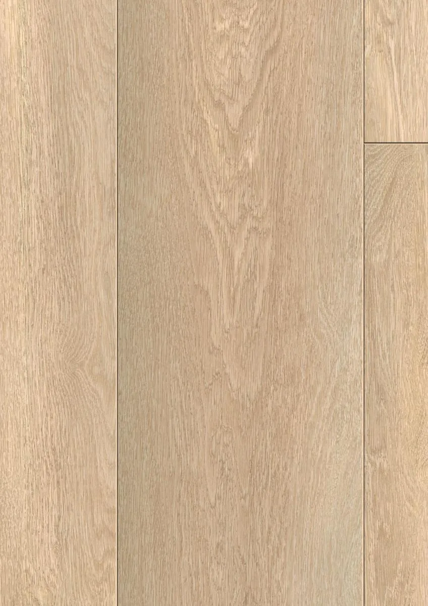 Absolute Oak Nature