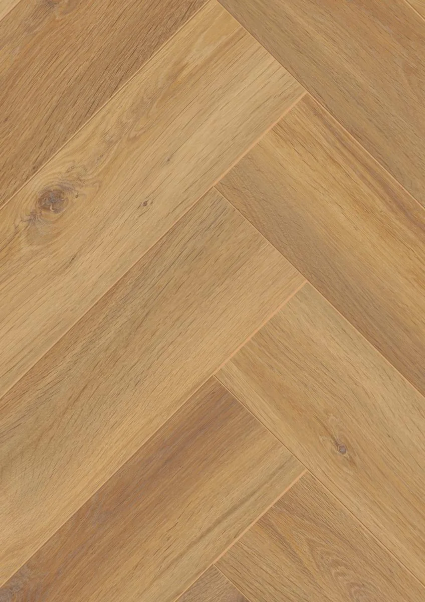 Pisa Oak