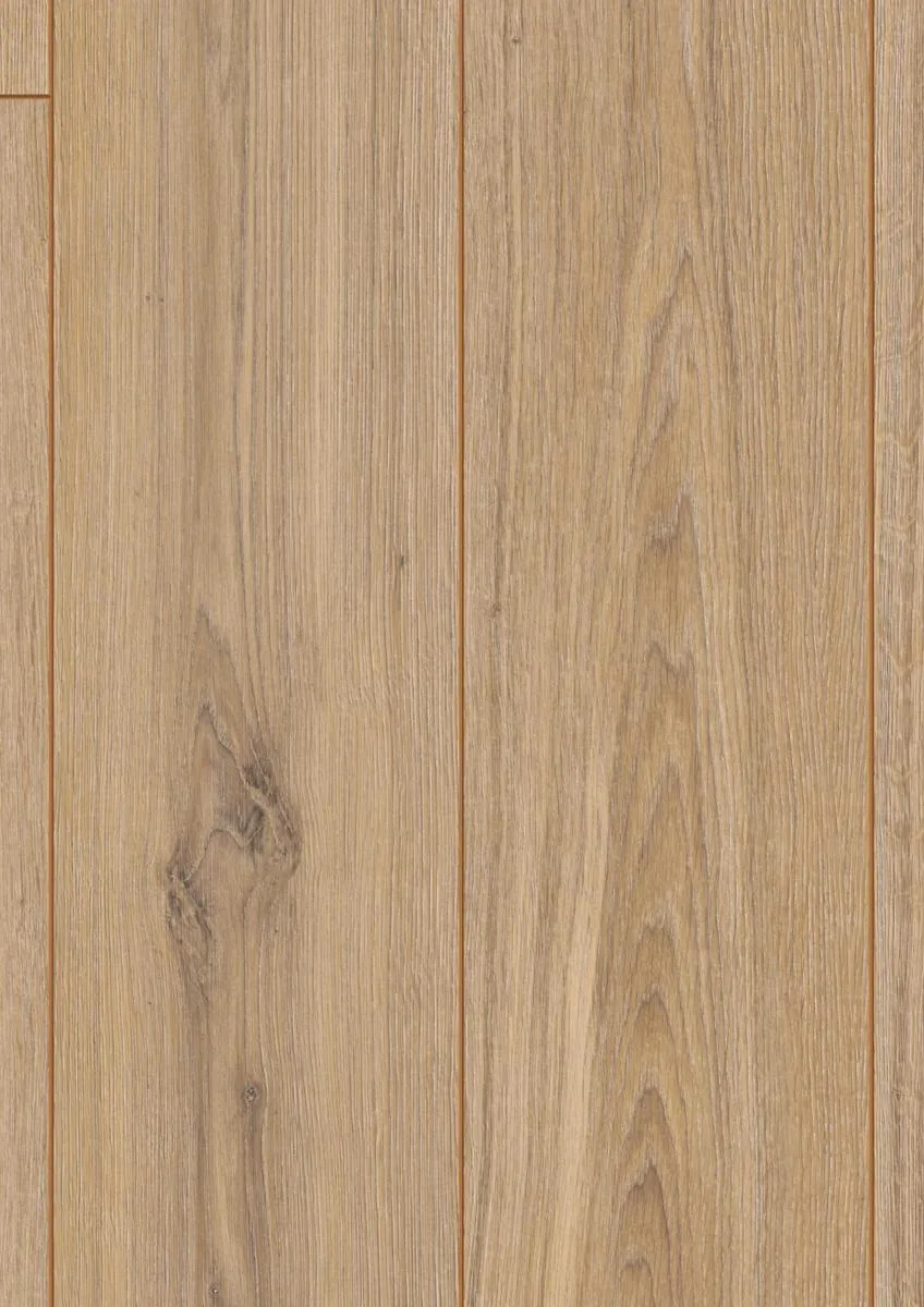Phalsbourg Oak
