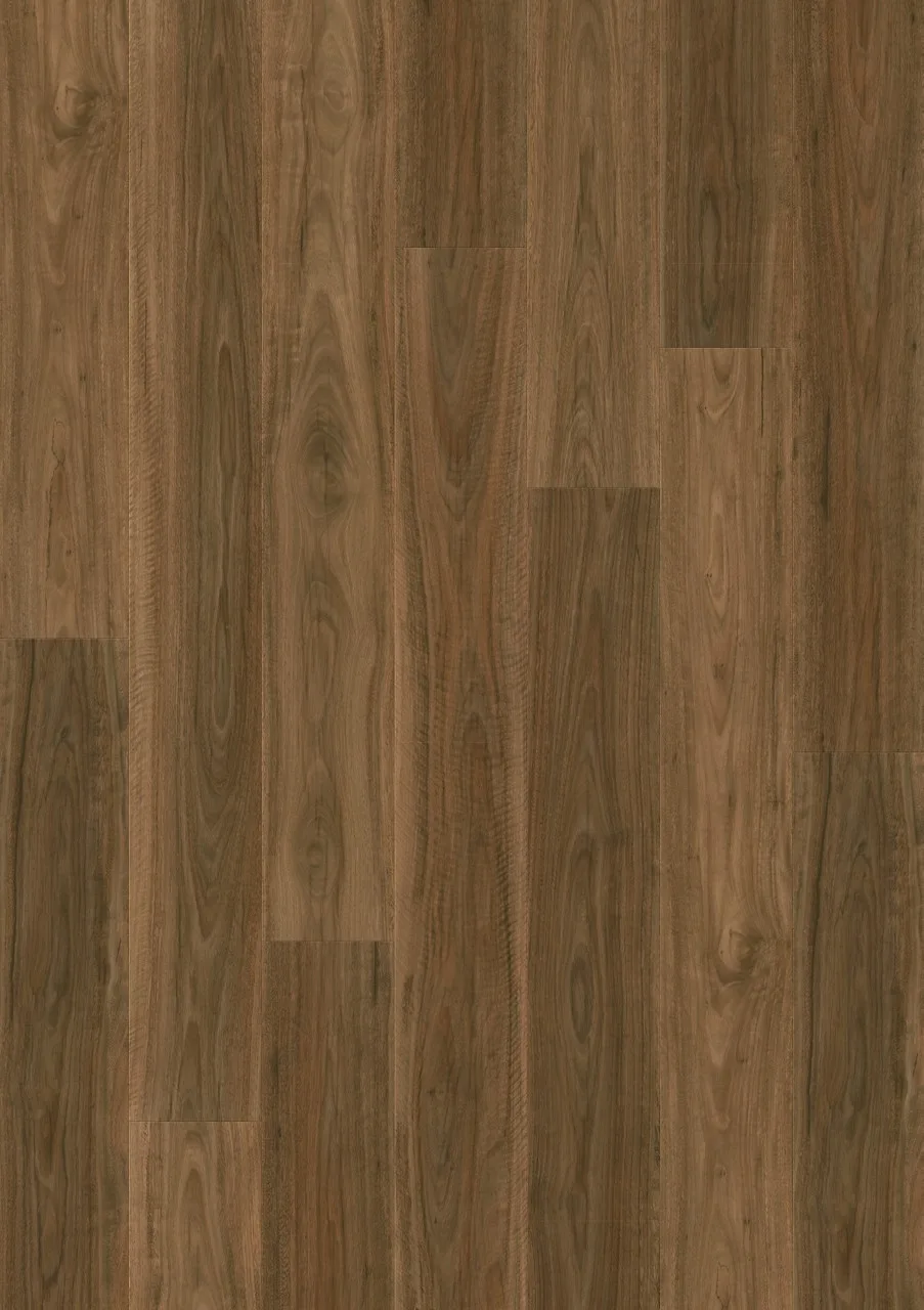 Spotted Gum Laminate Majestic