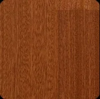 Sapelli