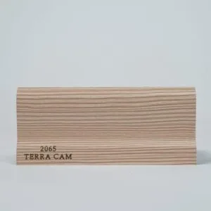 2065-TERRA-CAM