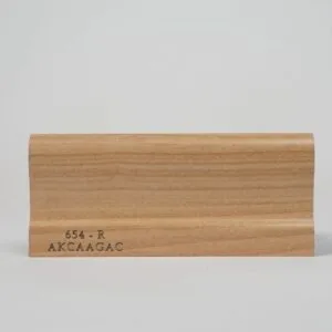 654-R-AKCAAGAC