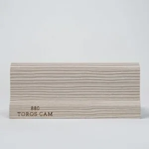 880-TOROSCAM