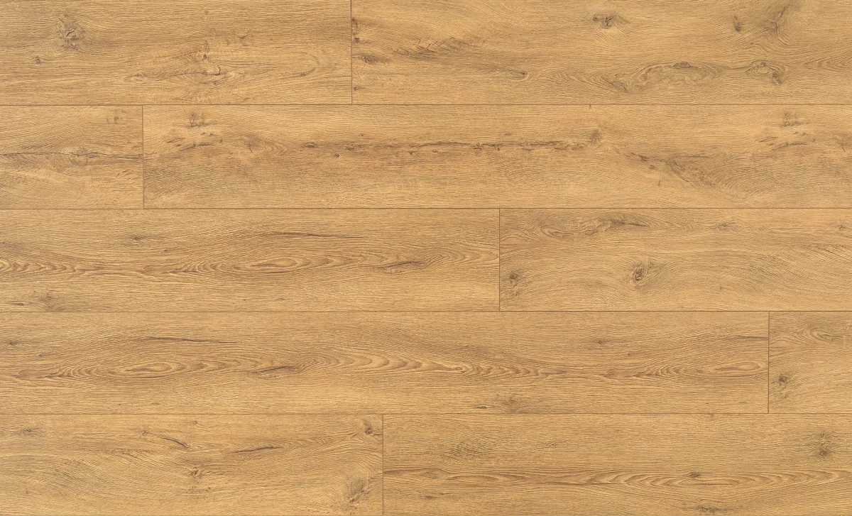 Sicilia Oak