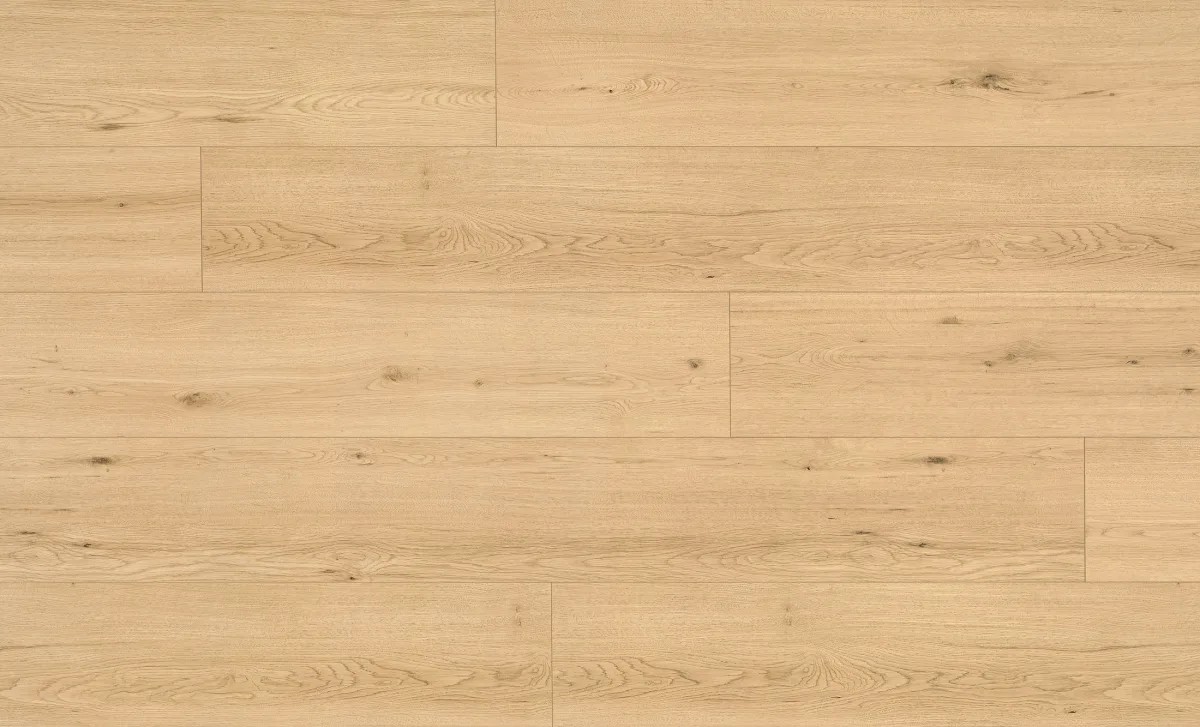 Disentis Oak