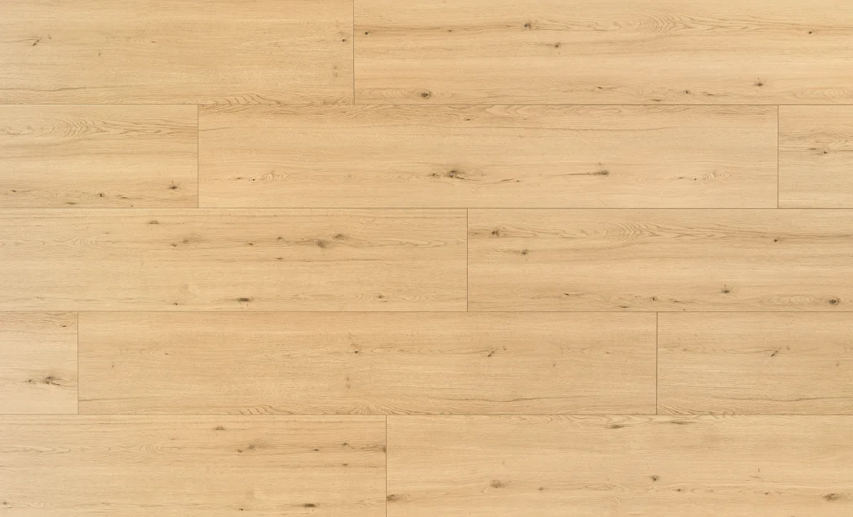 Disentis Oak