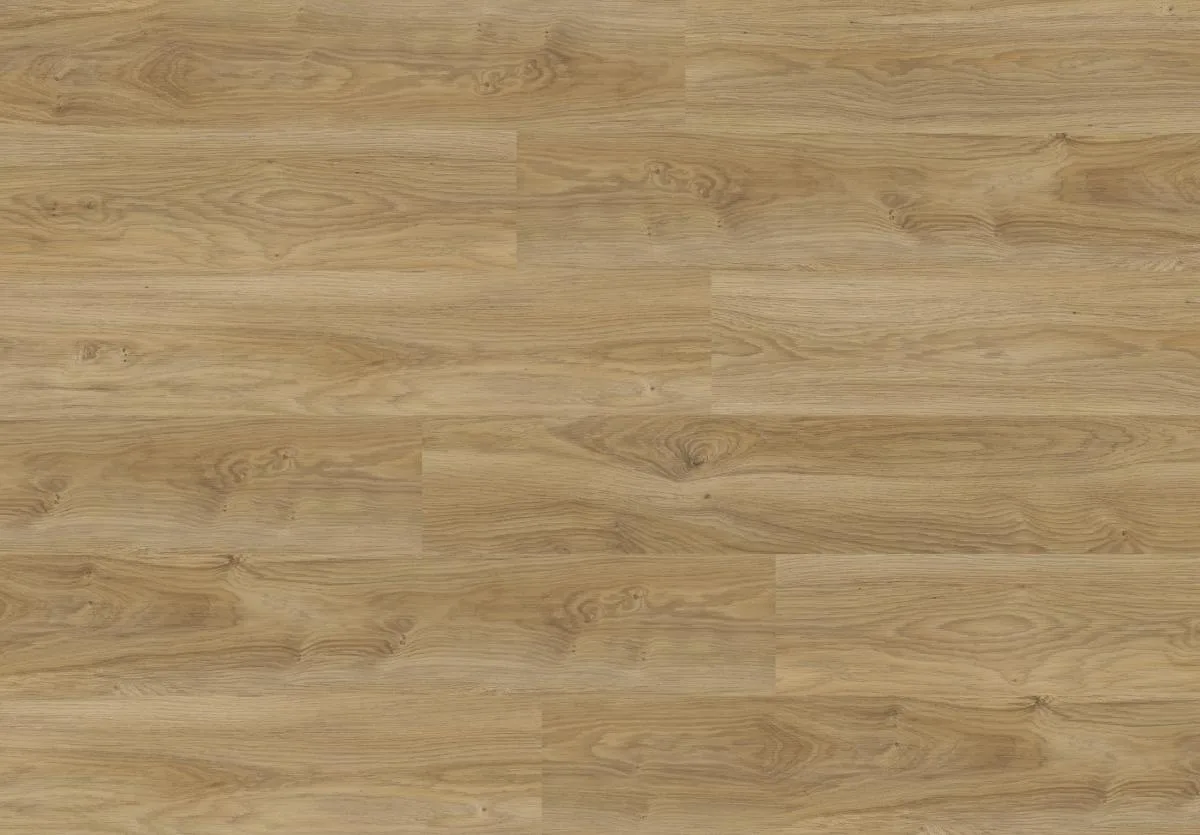Camargue Oak